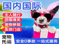 东河机场空运国际宠物托运 【国